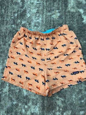 Patagonia Kids Coyote Print Baggies Shorts
